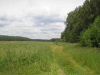 Земельный участок 2600 соток, 90 км от МКАД по Щелковскому шоссе, д. Корытово